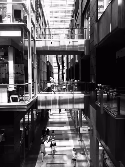 Item #74817359076642782556585350322471739713426593632609016310354114310318258651137 Media