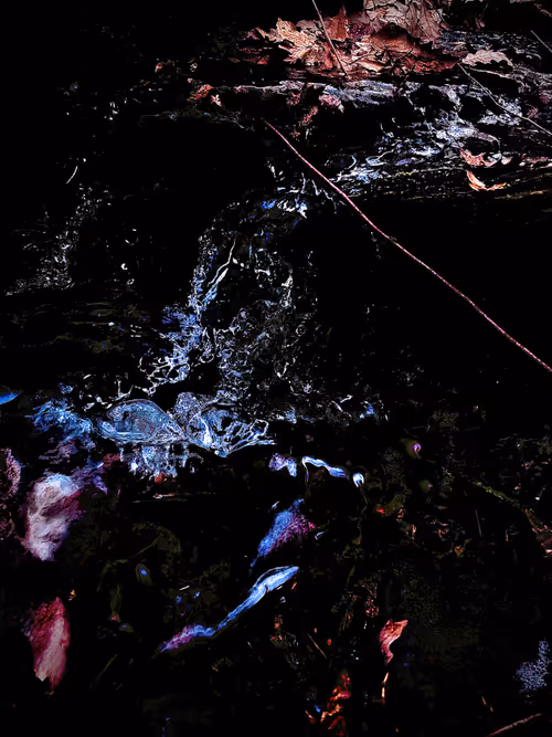 Item #582723344791578874392979375224931479207908297100719477511291134010271465482 Media