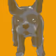 84237464040510023061184812508118601581049905089855891578610076768271410921473