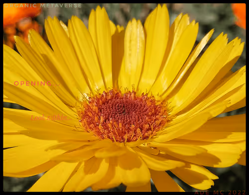 3787080761074609709675817509753112159059746763483256848434353650155384733697