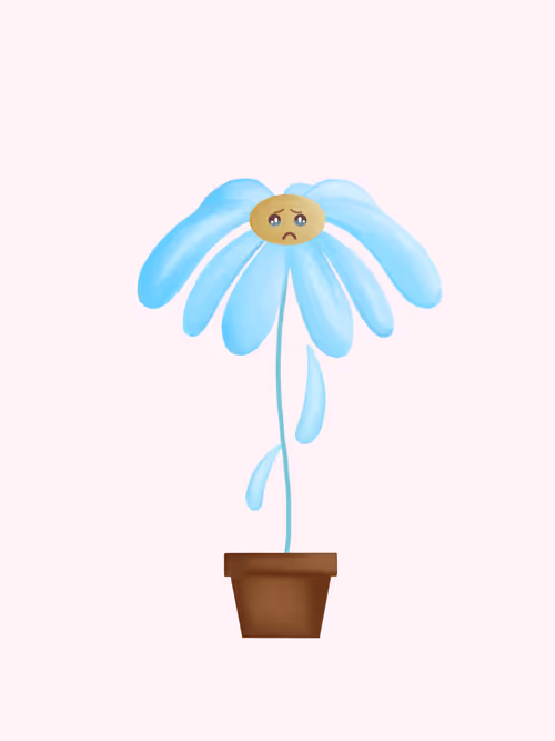 Item #1884312603650306621990671001796890660959353708326931649108702949948834971649 Media