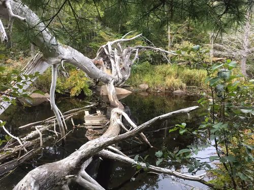 Item #79545156114315803547142534372427060131270838269167006736040653604134932447242 Media