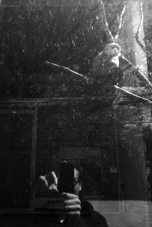 Item #48582175902660253739567181783807763023013925201969392418370611539002733363201 Media