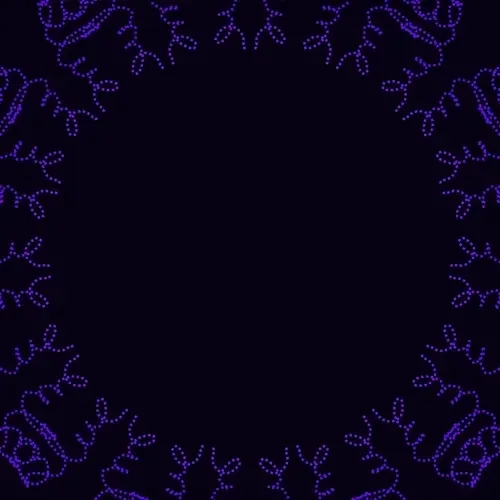Untitled Collection #205777334