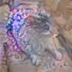 77693431496492719897563846973078047230151567954343784641164337546315612291073