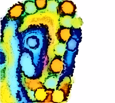 Item #88550933380159429652573600088596543452217115268663300900517750243022252015621 Media