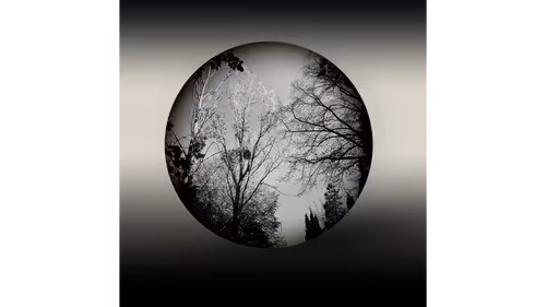 Item #108011531238030277319797552781278289377881865795939671666305033614414147747841 Media