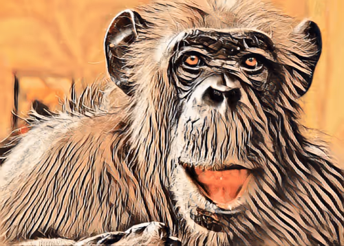 Item #54593652383459731767777383320415424164820202733853921615926635494735010070529 Media