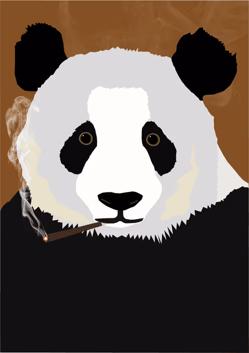 Item #46679994496108624530020148644785155104419172278486625888968681005903396208641 Media