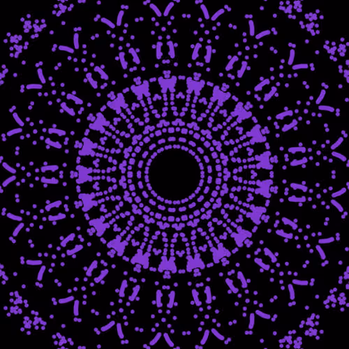 Item #32515654140211441490836020325820105908367492065533968992256191136489495592961 Media