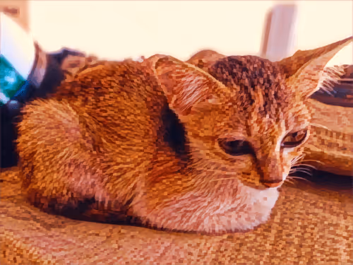 Item #74122138759525378795667626270866148487737655975912799548892275565653380825089 Media