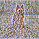 88084387355681969992942374483004213542752585850628601390606515672456674410596