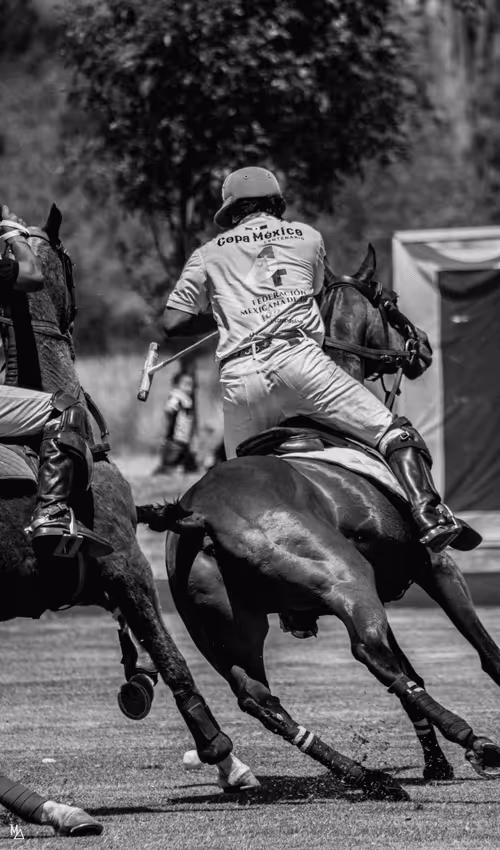 Item #41292547216999824454426259435267855130465343897515309645987456181006728429569 Media