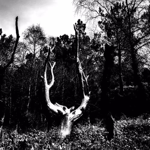 73754067670666287486777451025371723803701293216623981117739972833296074670081