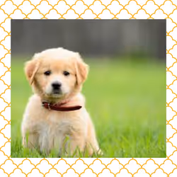 108065665434435766760522700651324844344204555372000129092130959705528256692234