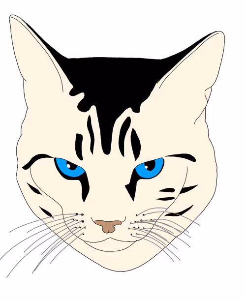 Item #109476089849893856701554107395822483407847062075969256486449400233892773888001 Media