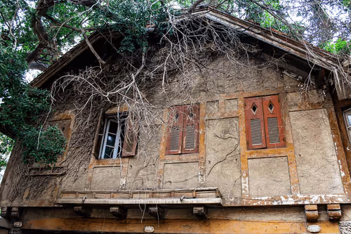 Item #99240698403131764357396770641695198226804647575338296481324929435873388265473 Media