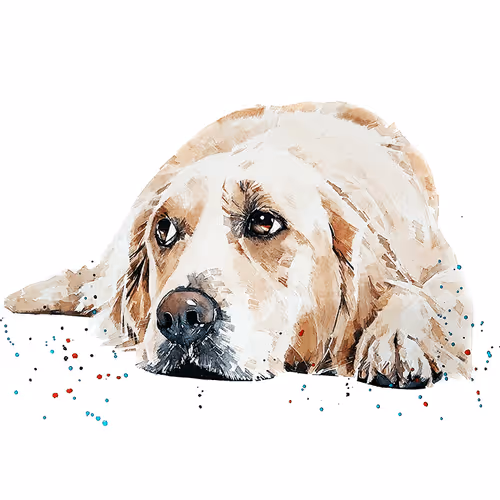 Item #15308155937593783866228062712704217529335676444312394672786838585338530627589 Media