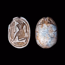 Scarab #154