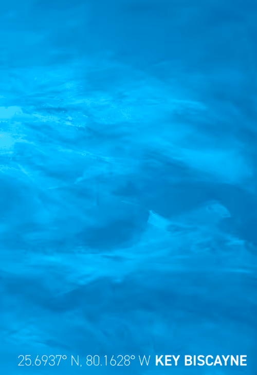 Item #26943238138681638753348092188697374887664825659826611314374211187518289739777 Media