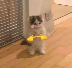 Item #56277161215909493385436671593053614146369915046514748932636885985146427146241 Media