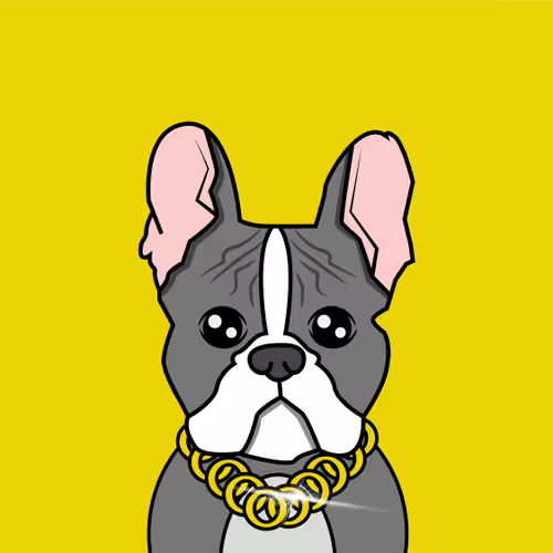 We Are Frenchies
