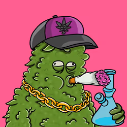 10781972816029327364120052059159000007855813889773667238981933237317522161665