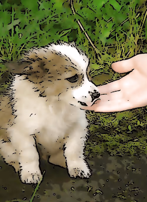 Item #100699266862010265980474664760375873767511284921164942724068627953057752154212 Media