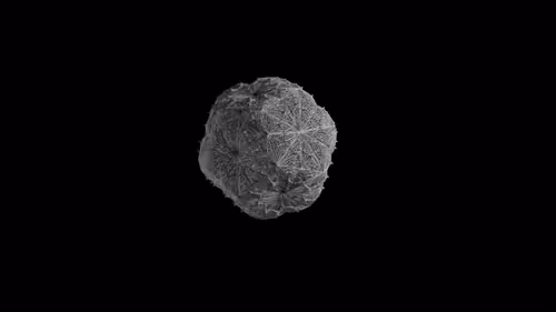 Item #106063415872419925772459360600448677300777030807561934217893798255310871199745 Media