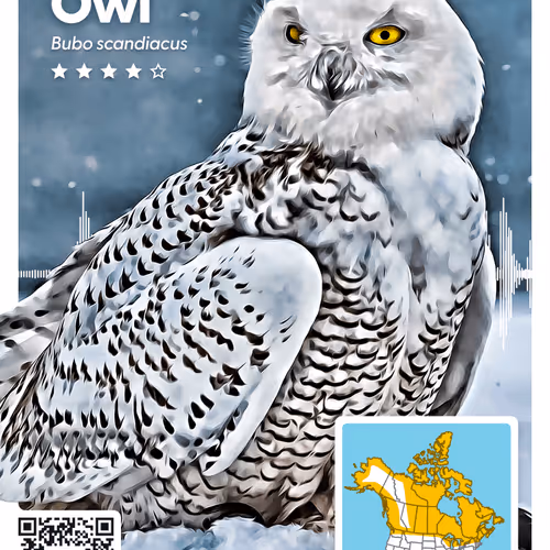 26102390610025884852824728088708208703251930988161684574571712854986743349253