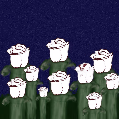 Item #46792967280469920447110576095391367559661728363462531360004474356494480966132 Media