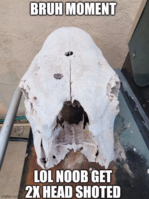 Item #88568704559234525769196153094528870241294849623548788281519482737995991220225 Media