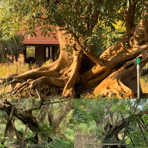 Item #4304171460087338151365278948301533161616241225785710000387118953198505696088 Media