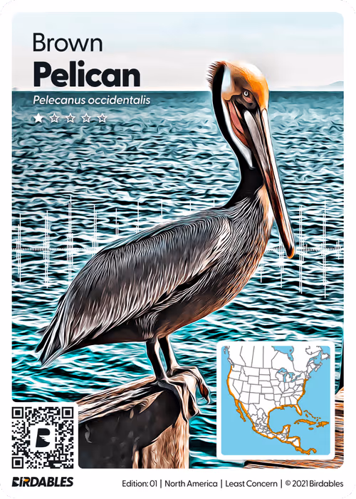 Item #26102390610025884852824728088708208703251930988161684574571712834096022421554 Media