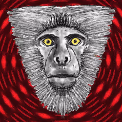 109551179123198513786744109746146747209844980702492867948297126012952141365249