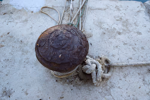 Item #99206175731752603969632246751396839615347692654100145142238794239021433225220 Media