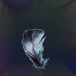 72932321608233697749117711298000337470595698923978217717692158370401268793345