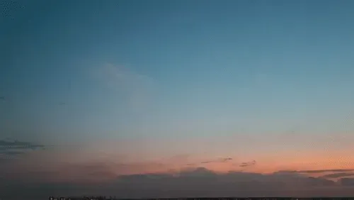 Item #54545336870129037164307986437789858251348704753246412266065009466850435661825 Media