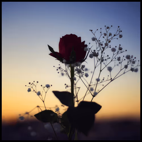 Item #65735283901235411095565859455791530090015704811558660765095343387501945421833 Media