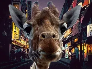 Sneaky Giraffe #25/25