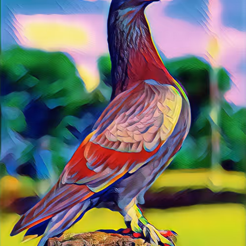 Untitled Collection #199326218