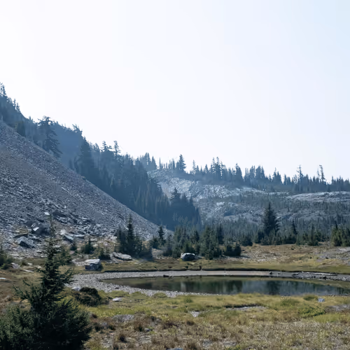 Item #2005862319158051831365229387864138466486092287762213337058068716430492172289 Media