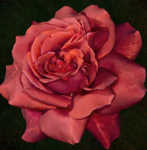 Item #9260538880738646448046418891529255088625136826813512017686583772025226002532 Media