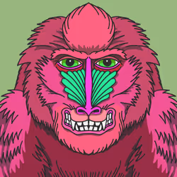 |Hedz| Rainbow Mandrill
