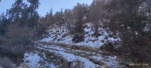 Item #47023763830885122261561699742745918342324231866565747353726337828417913749509 Media