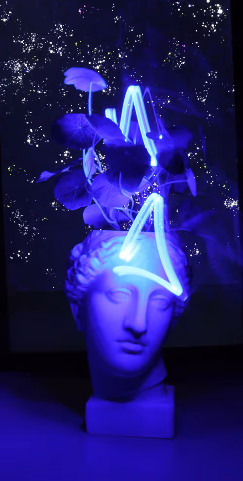 Item #46267743495132859547511032037696953227726596585589071183384475941840598597633 Media