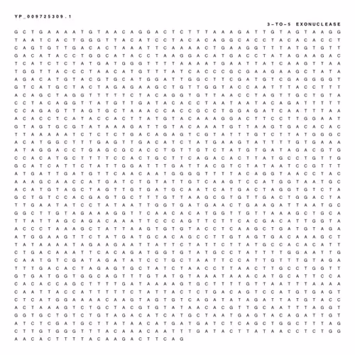 Item #65380618963620114885281271461439322618207565584775953371672302093311997378561 Media