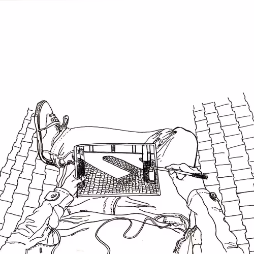 Item #34964530999942449863178367166541033957330804026301713585641965778283805016065 Media