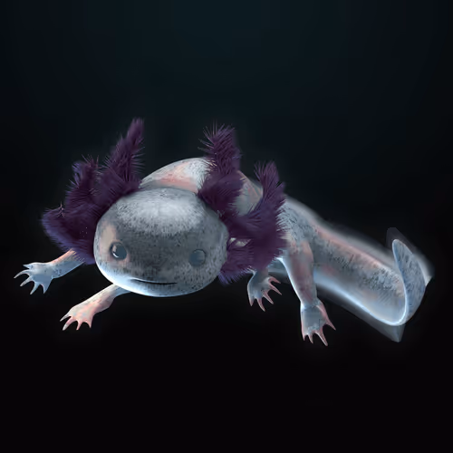 Item #39982110375740153587505644478940195082872270202471884348459982157895358742529 Media