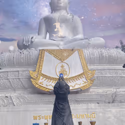 83602917889072311038196738115952345562176890266904803816015398400504149049345